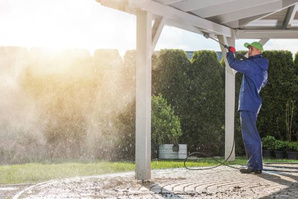 Animal Enclosure Cleaning in Sinking Spring, PA